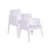 Garden Impressions Tuinstoel Box The Original Wit - 2 Stuks 1 Garden Impressions Tuinstoel Box The Original Wit - 2 Stuks -tuinmeubelen 1000040788